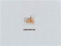 藏品(二斑紅緣苔蛾)的圖片